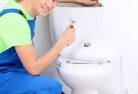 Cottage Pointtoilet-replacement-plumbers-11.jpg; ?>