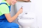 Cottage Pointtoilet-replacement-plumbers-2.jpg; ?>
